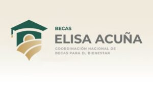 imagen representativa de Beca Elisa Acuña