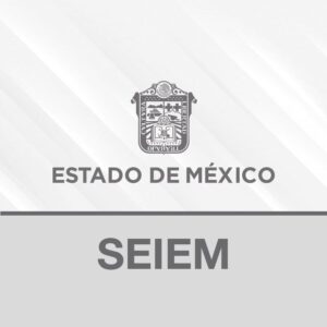 imagen representativa de Becas SEIEM