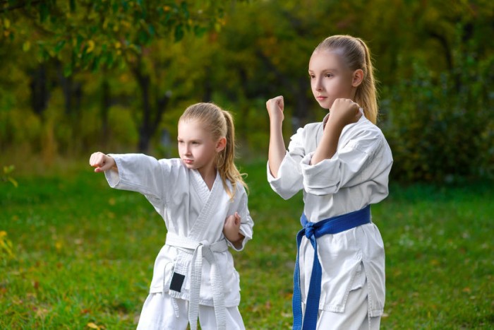 Enriquecer talento ensalada Clases de Taekwondo | Precios 2023 | Profesores