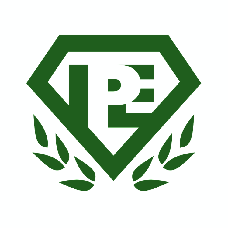 Logo Instituto Pedagógico Esmeralda