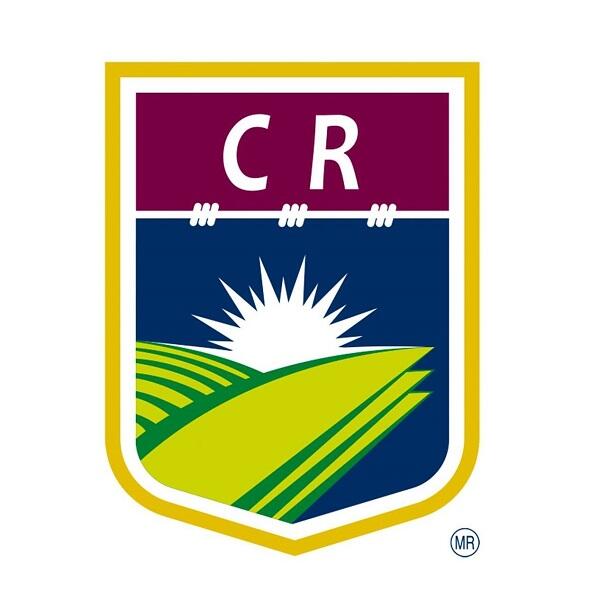 Logo Colegio Reynosa